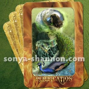 Purification Card from the Transformation Oracle