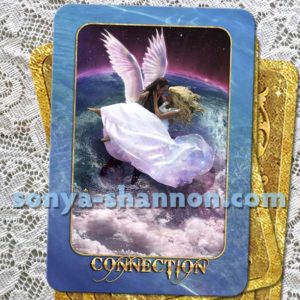 Connection Card in the Transformation Oracle